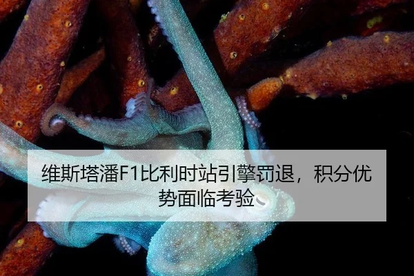 wei-si-ta-pan-bi-li-shi-zhan-yin-qing-fa-tui-ji-fen-you-shi-mian-lin-kao-yan-2-677.jpg
